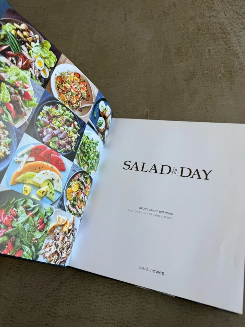 Williams Sonoma / Salad of the Day Cookbook / 365 Recipes